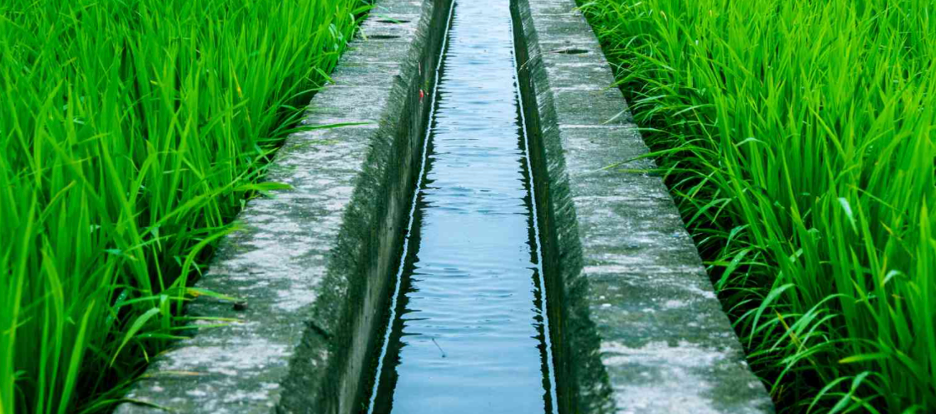 Accessibility - Watering